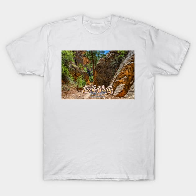 Lick Wash Trail Hike T-Shirt by Gestalt Imagery